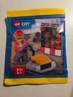 LEGO City 952510 Builder with Plate Compactor