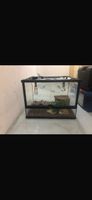 Terrarium pour reptile cadre noir, en très bon état