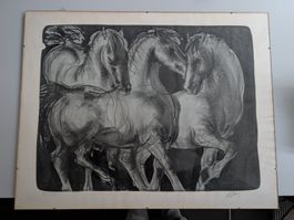 Grafikblatt Hans Erni, "Pferde", ca. 69x53cm