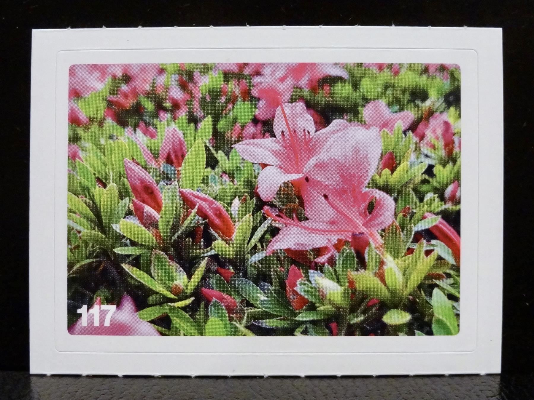 Migros Sammelbilder & Trading cards: MIGROS MANIA Nature Detectives Nr. 117 – Neu und originalverpackt aus Kerzers von zimmergruen