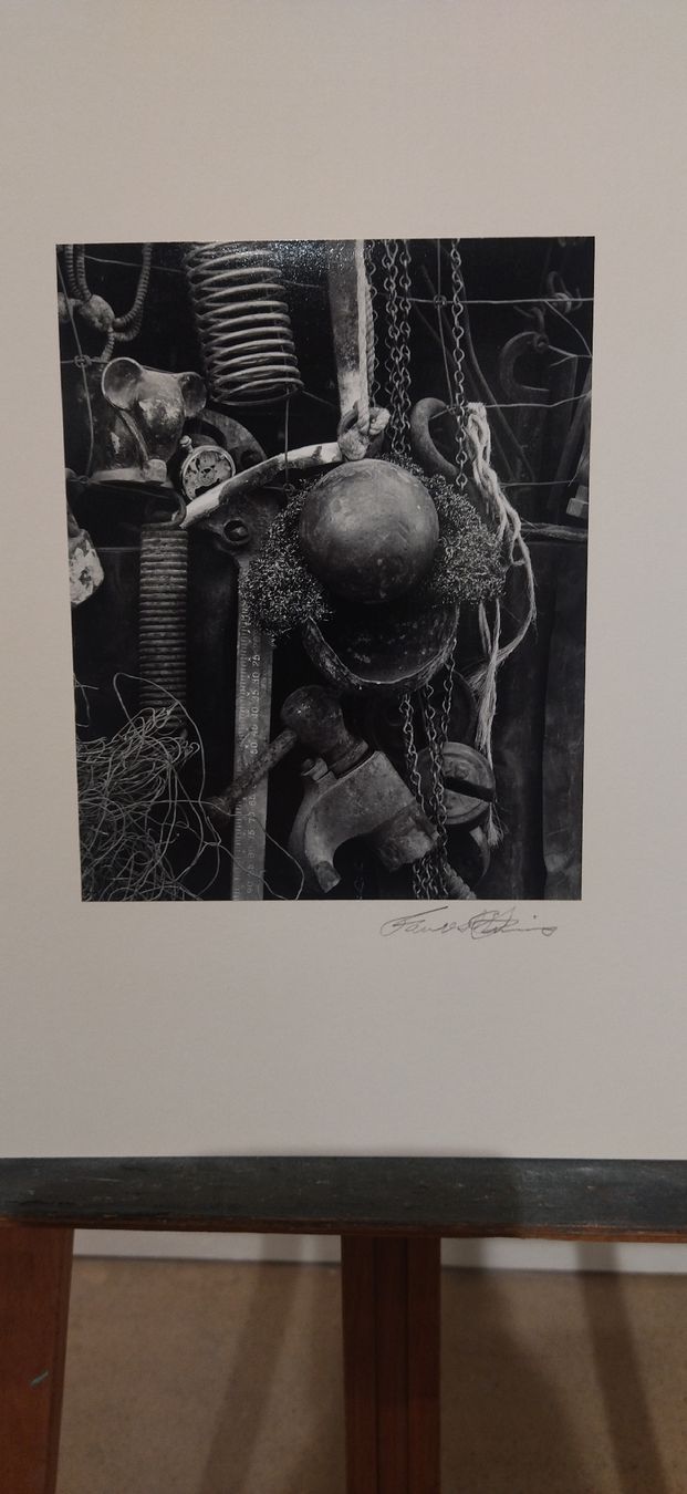 Libri: Portfolio Forest Davis Photographs, 1981 – Usato da Zürich venduto da Top-Deal-Schweiz 5