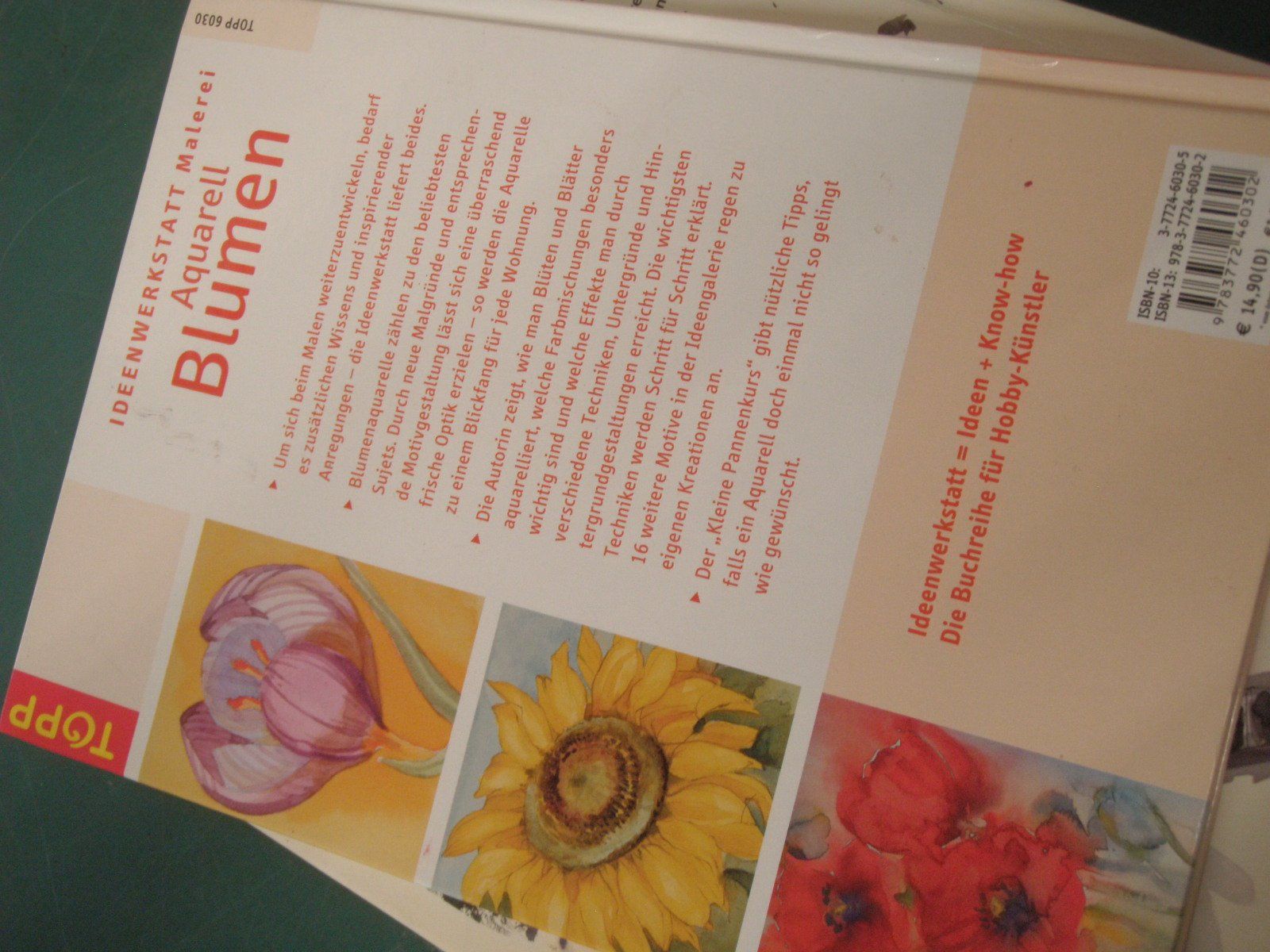 Bücher: 3 Bücher Aquarellmalerei – Gebraucht aus Rohrbach von chri2009 7