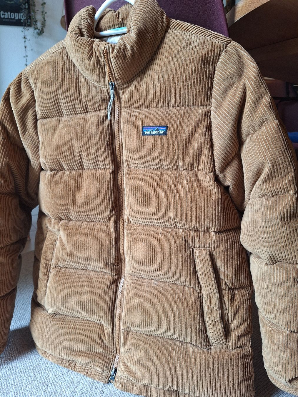 Patagonia Giacche: Veste Patagonia  – Usato da Martigny venduto da fef_pf62 4