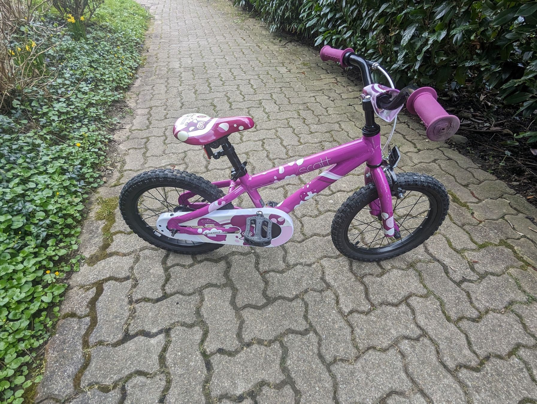 Scott Biciclette: Scott Contessa 16 Kinderfahrrad – Usato da Adliswil venduto da mazsihej