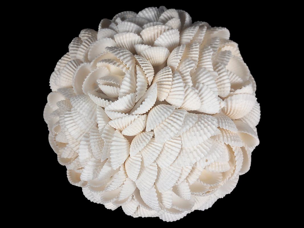 Tutte le decorazioni: Muschelkugel Rosenmuster – Usato da Hünenberg venduto da Restwert_Zug 5