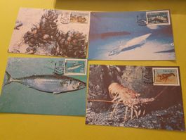 Lot de 4 cartes postales anciennes - thème marin, rare!