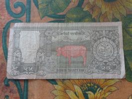 NEPAL  25  Rupees  Billet
