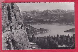 FELSENWEG BEI RIGI-FIRST, 9.10.1944