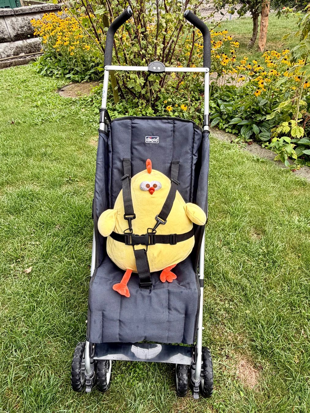 Chicco Kinderwagen: Chicco-Buggy – Gebraucht aus Ennetbürgen von Birkenbaum5