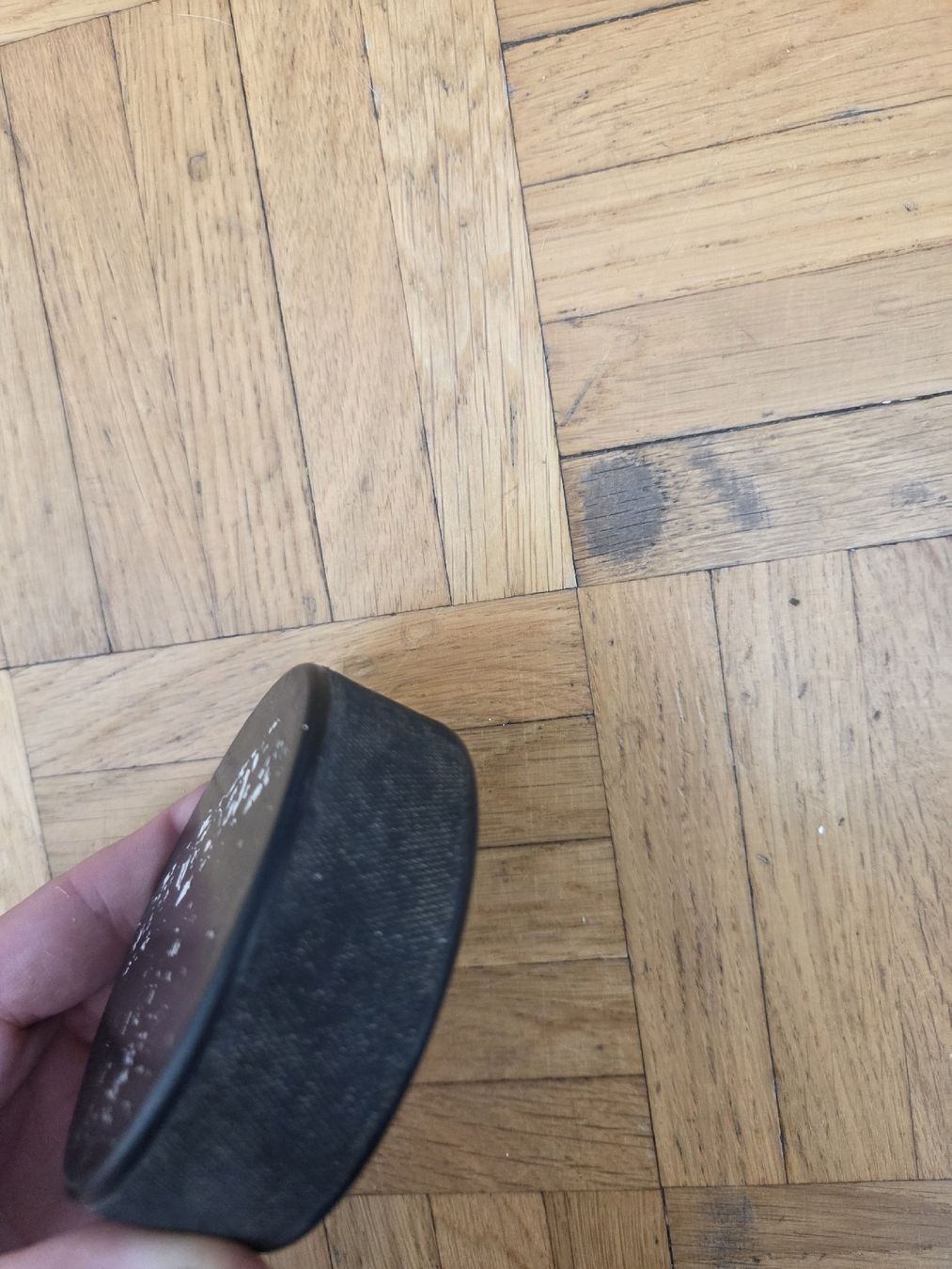 Bälle: ZSC Puck – Gebraucht aus Zürich von Shiva79 2