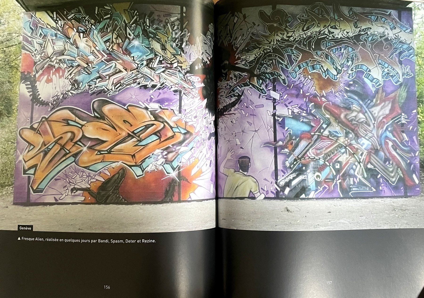 Livres: Les plus beaux graffitis de Suisse – D'occasion à Savagnier par Ne2065 6