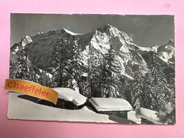 13020 Adelboden. Im Stiegelschwand, Grosslohner