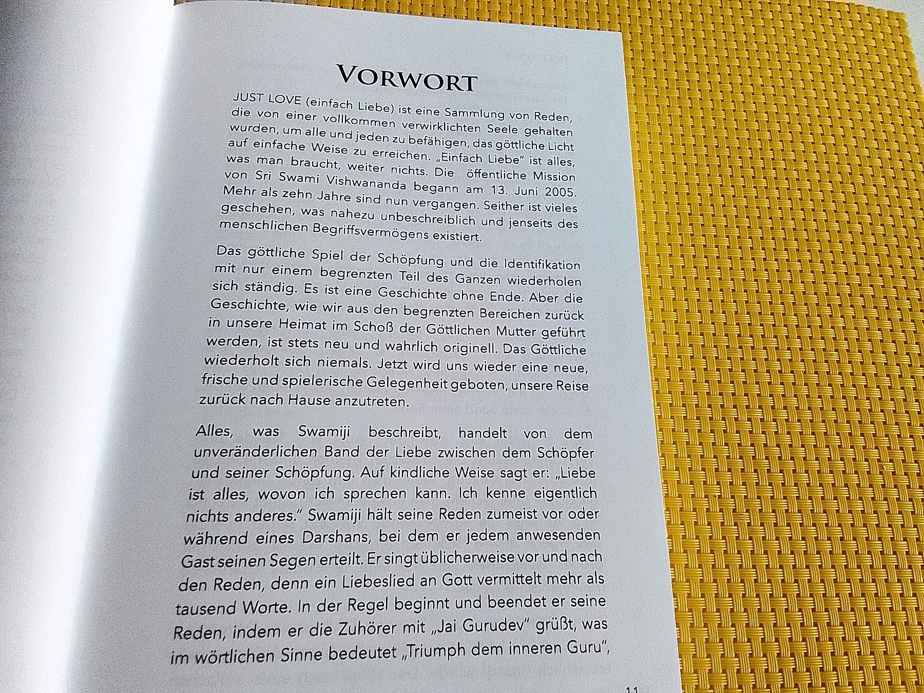Libri: JUST LOVE - Die Essenz von Allem – Nuovo (secondo la descrizione) da Rebstein venduto da Buchsi03 5