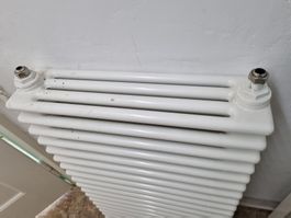 RADIATOR 4-Säuler | 1 Stück, bereits ausgebaut, gebraucht