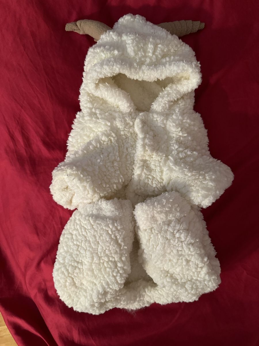Abbigliamento: Pull d’hiver à capuche pour un chien – Nuovo (secondo la descrizione) da Neuchâtel venduto da yul_rg8p