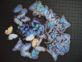 Lot d'autocollants papillons bleus, neuf