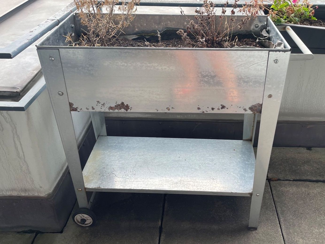 Pots de fleurs: Hochbeet silber – D'occasion à Basel par schnudibu 1