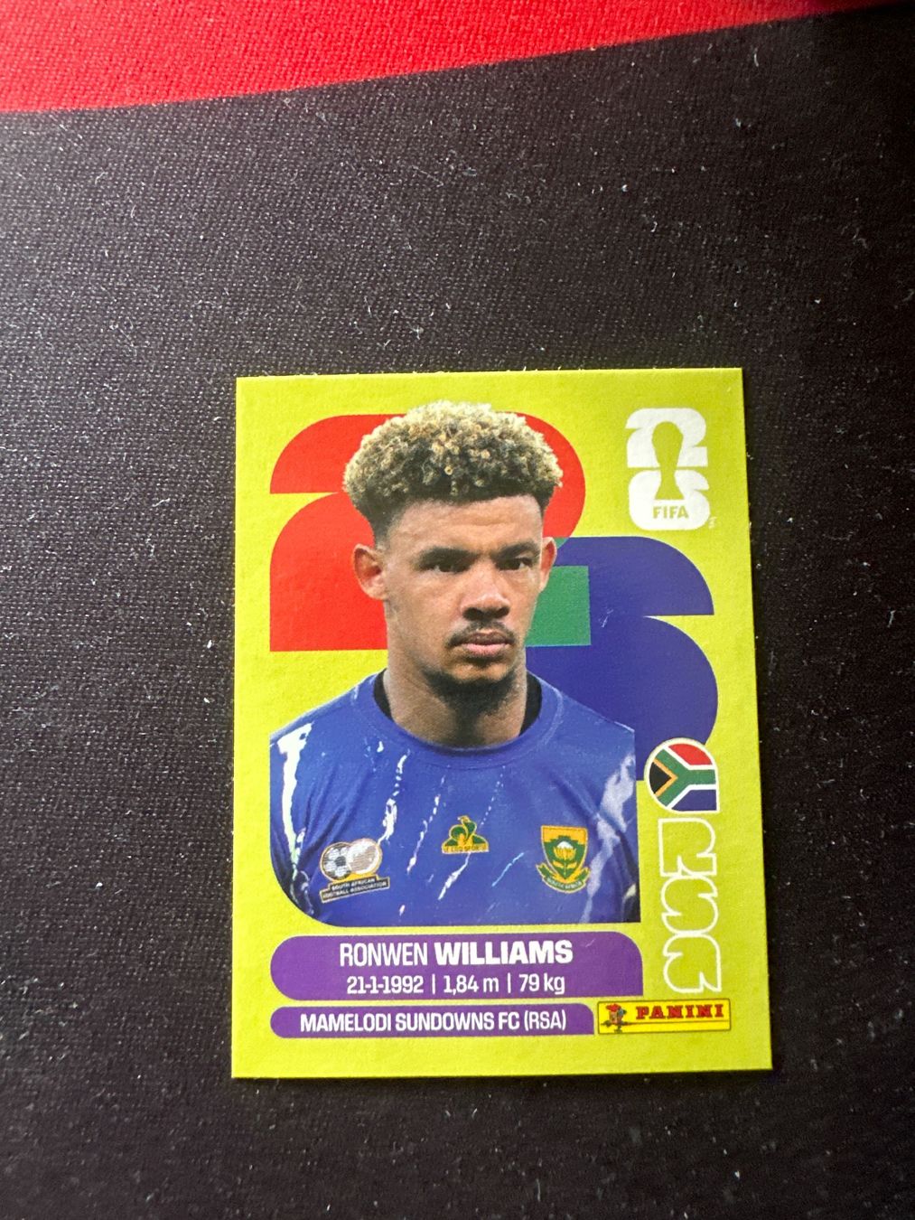 Panini Carte collezionabili: Panini FIFA WM 2026 Sticker - RSA 2 – Usato da Sulz AG venduto da DealWerk