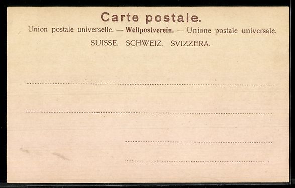 Cartes postales: AK Thusis, Panorama – D'occasion à Berlin par bartko-reher 1