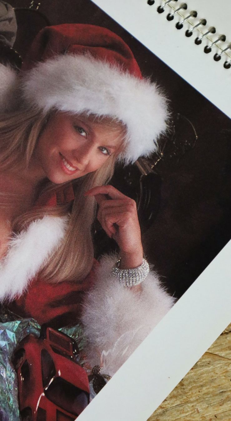 Playboy Calendari: PLAYBOY Kalender 1989 – Usato da Birrwil venduto da brandschatz_birrwil 7