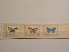 Europa, Südosteuropa, Bulgarien, div.Marken Postfrisch