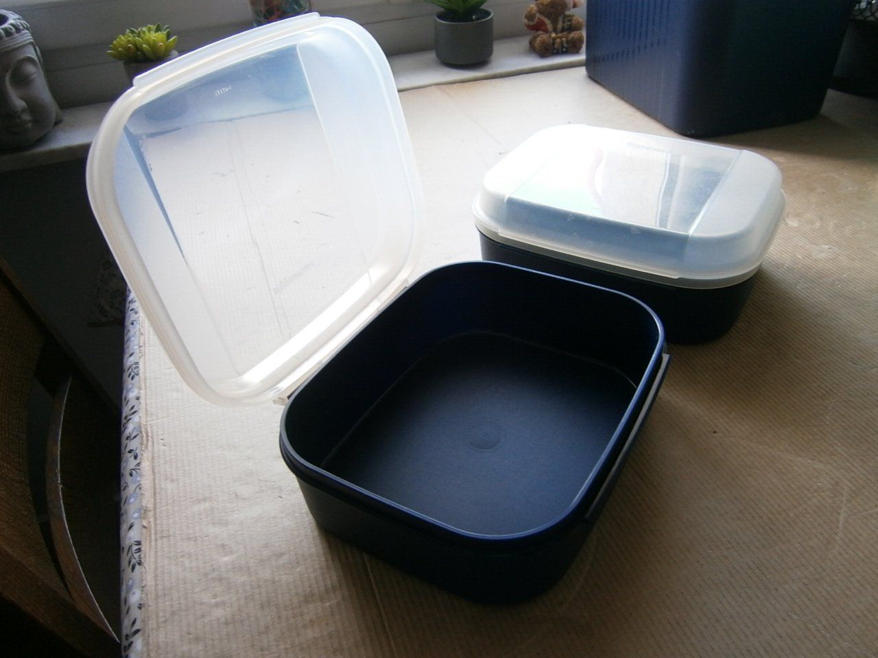 Tupperware Contenitori & Simili: Tupperware 2 Stück mit Deckel – Nuovo (secondo la descrizione) da Pratteln venduto da 66werni 1