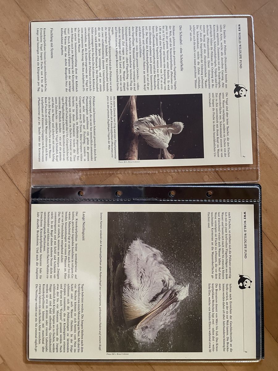 Tous les timbres: WWF Set "Der Krauskopfpelikan" – D'occasion à Altdorf UR par mic_z8bj 1