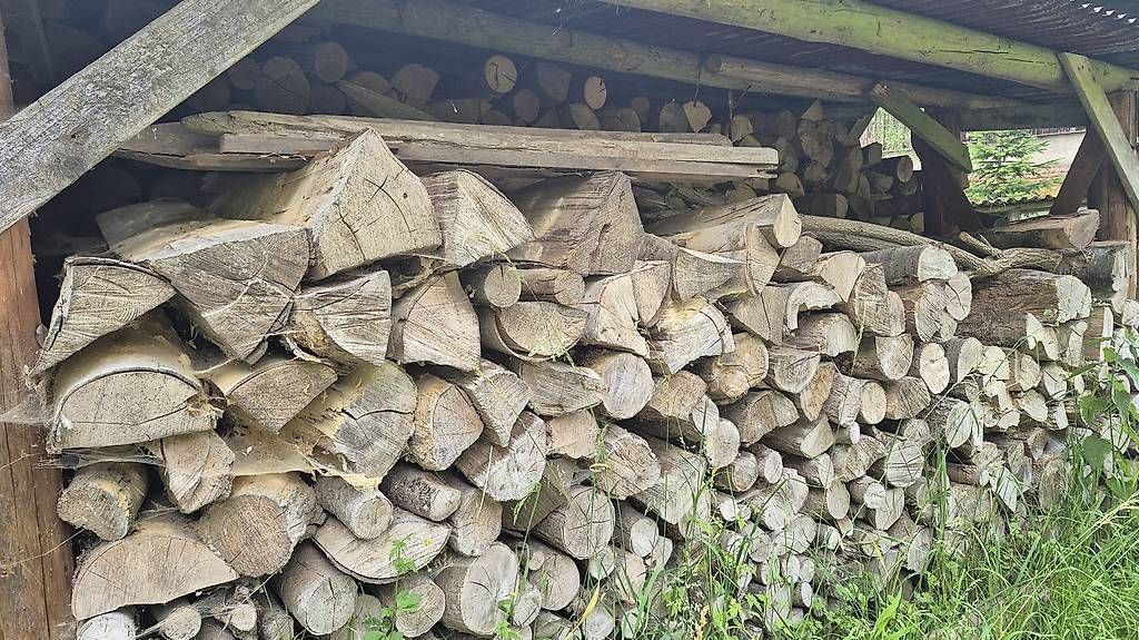 Articles en bois: Brennholz – D'occasion à Fisibach par Lorobin 1