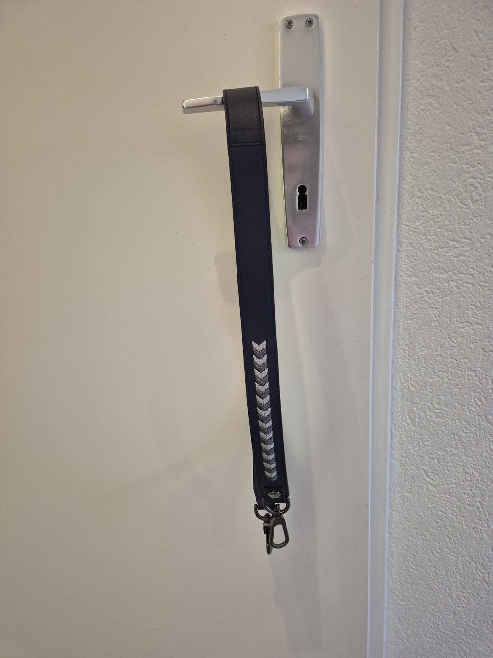 Longchamp Sonstige Kleidung & Accessoires: Bandoulière bleue Longchamp – Neu (gemäss Beschreibung) aus Perroy von cec_q6w9