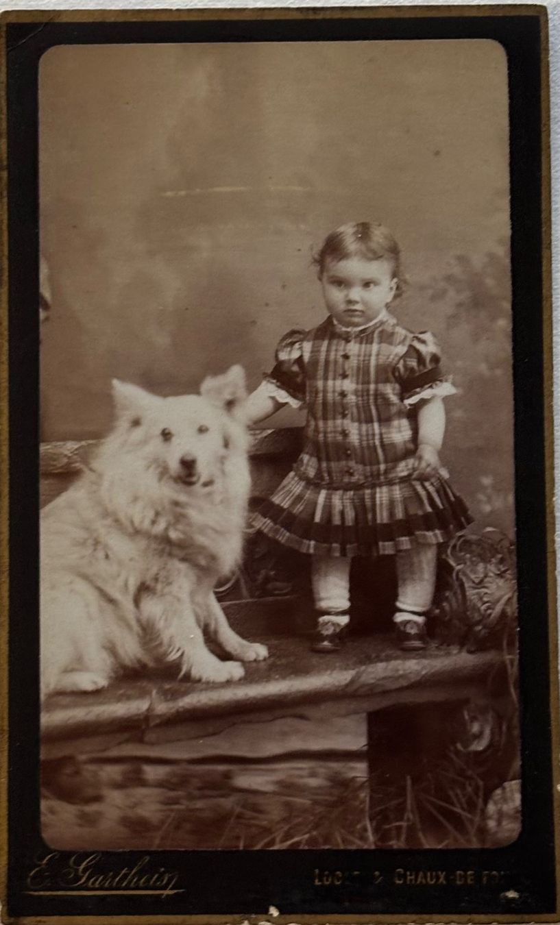 Cartoline postali: CDV E. Gartheis, Le Locle, Kind, Hund – Usato da Frauenfeld venduto da Merk52