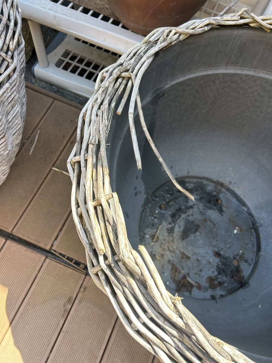 Blumentöpfe: Pflanzentopf – Gebraucht aus Eschenbach LU von Puppy1 2