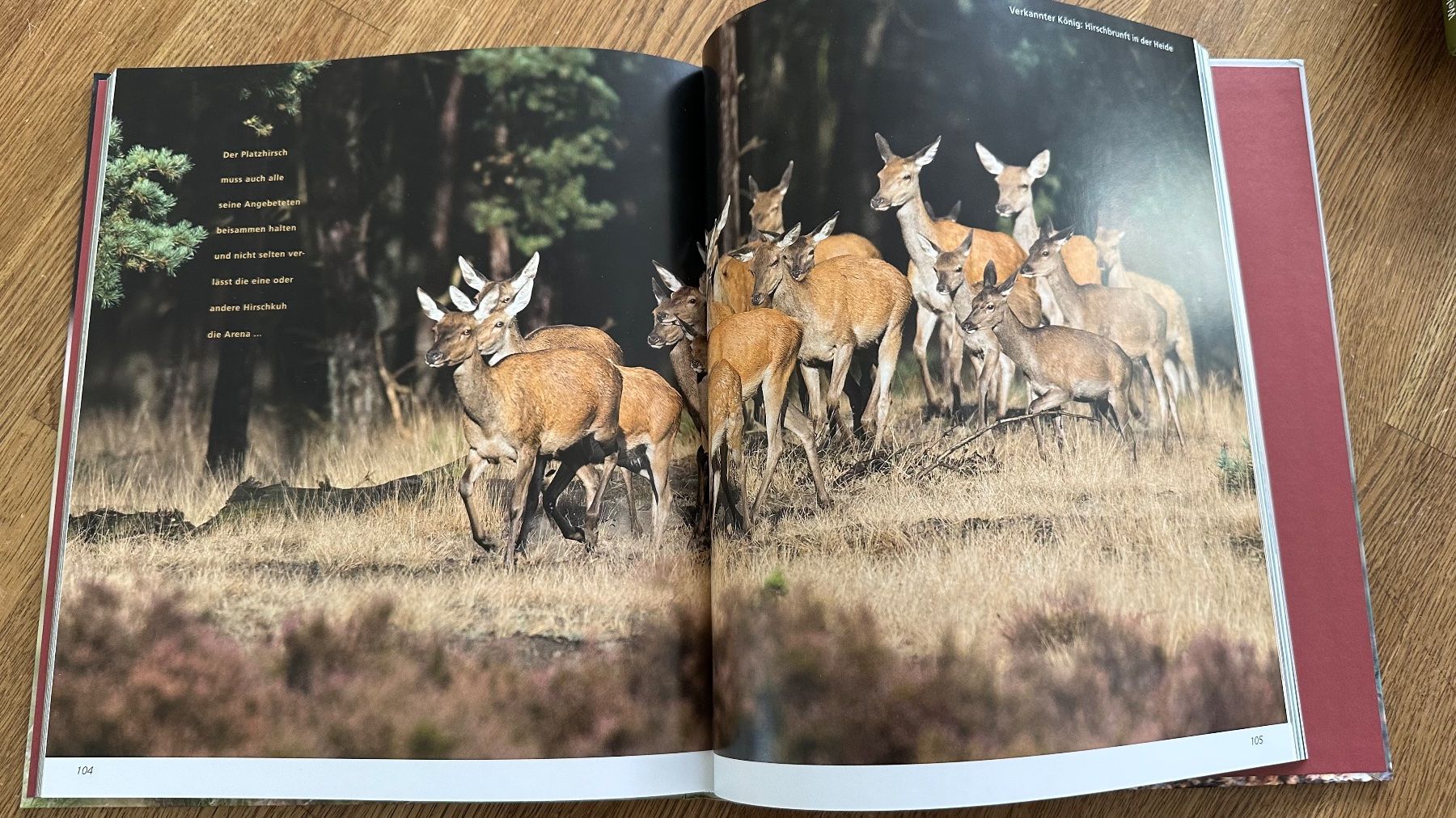 Libri: Buch "Natur Impressionen" - Herbstliche Jagdreviere! – Nuovo (secondo la descrizione) da Krauchthal venduto da Kiddy32 2