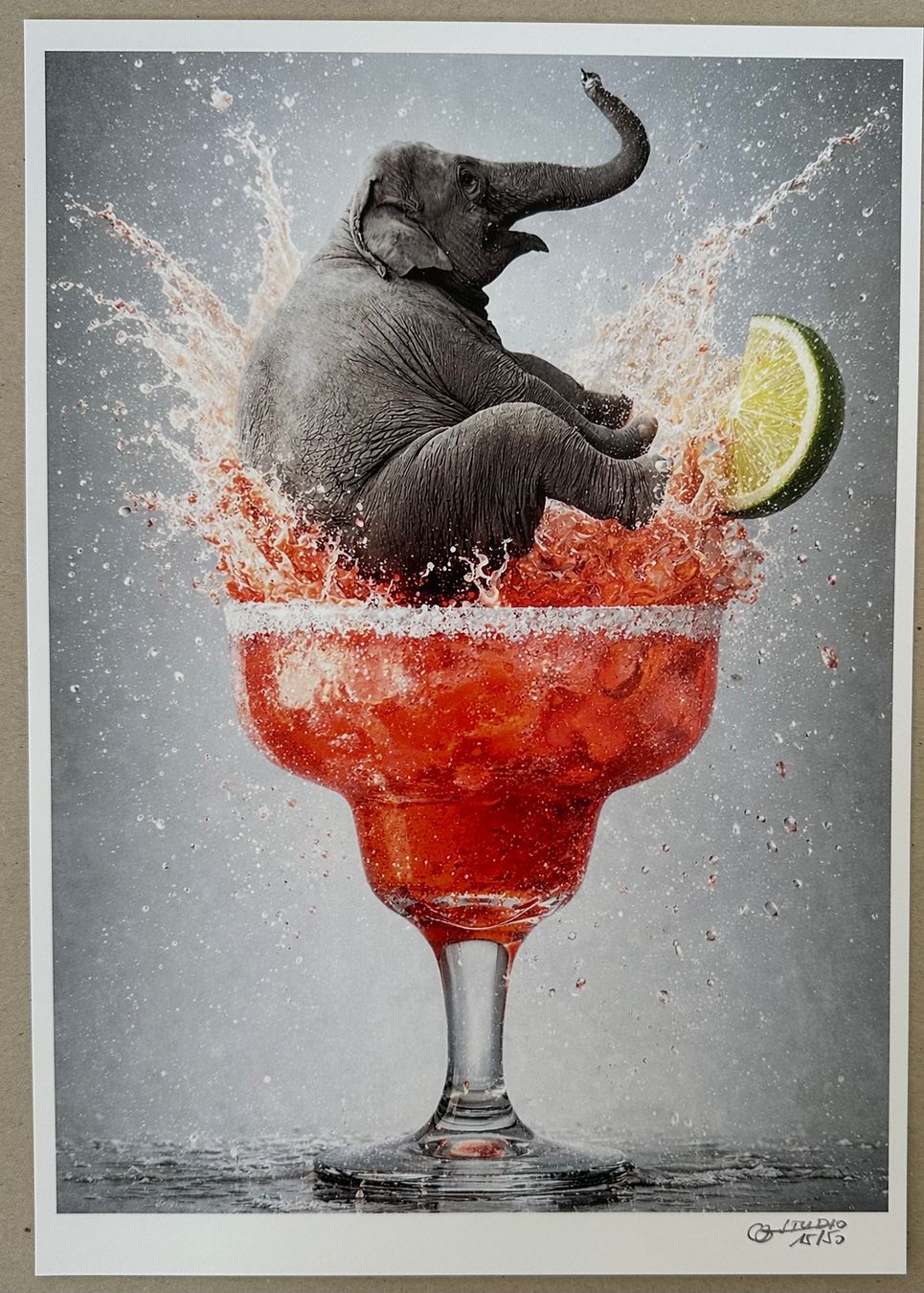 Foto & Immagini: Bubble Studio: Magherita Splash, signiert 15/50 – Nuovo (secondo la descrizione) da Meilen venduto da Art-Friend
