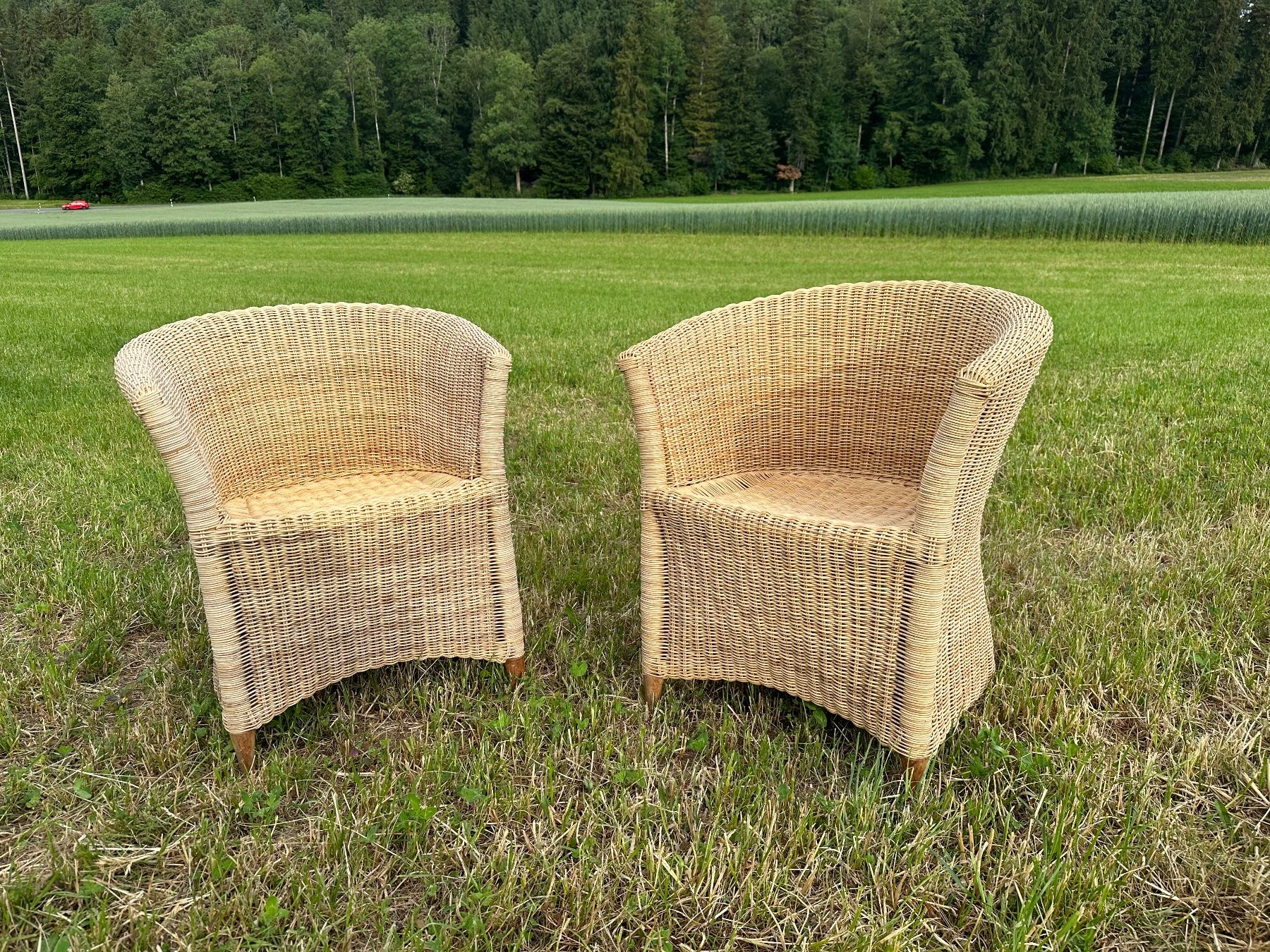 Poltrone: 2 wunderschöne Korbstühle – Usato da Hausen am Albis venduto da W7villal 1
