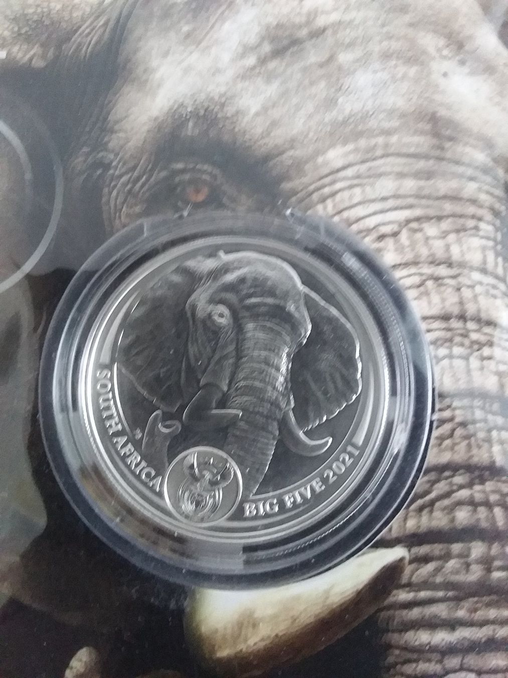 Tutti le monete: THE BIG 5 ELEPHANT 2021 – Nuovo e nell'imballaggio originale da Schwyz venduto da Trofana 1