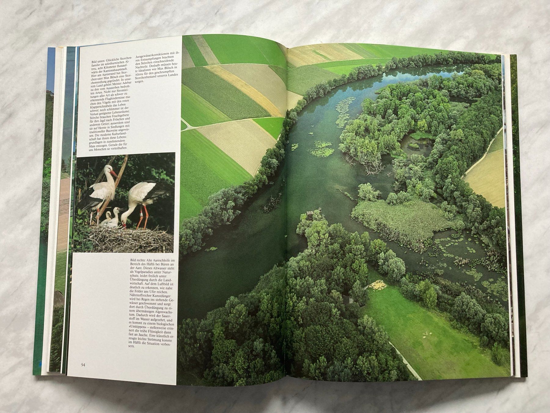 Livres: Die Aare – D'occasion à Mirchel par buecher_wurm 7