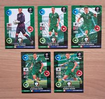 Irland - Adrenalyn XL Road to Euro 2016 Karten