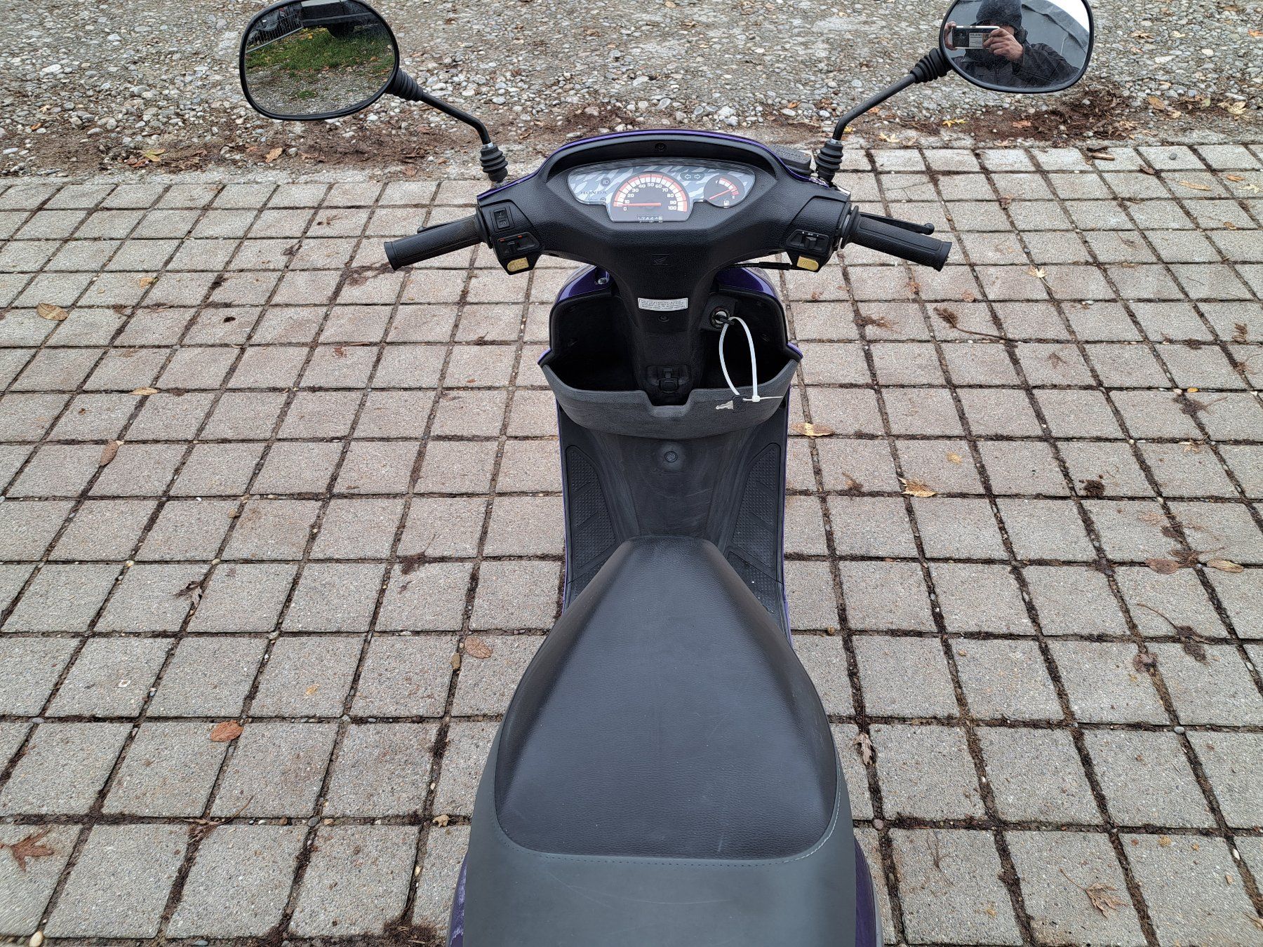 Honda Scooters: Honda SFX 50 mit MFK Roller Scooter – Gebraucht aus Hallau von  5