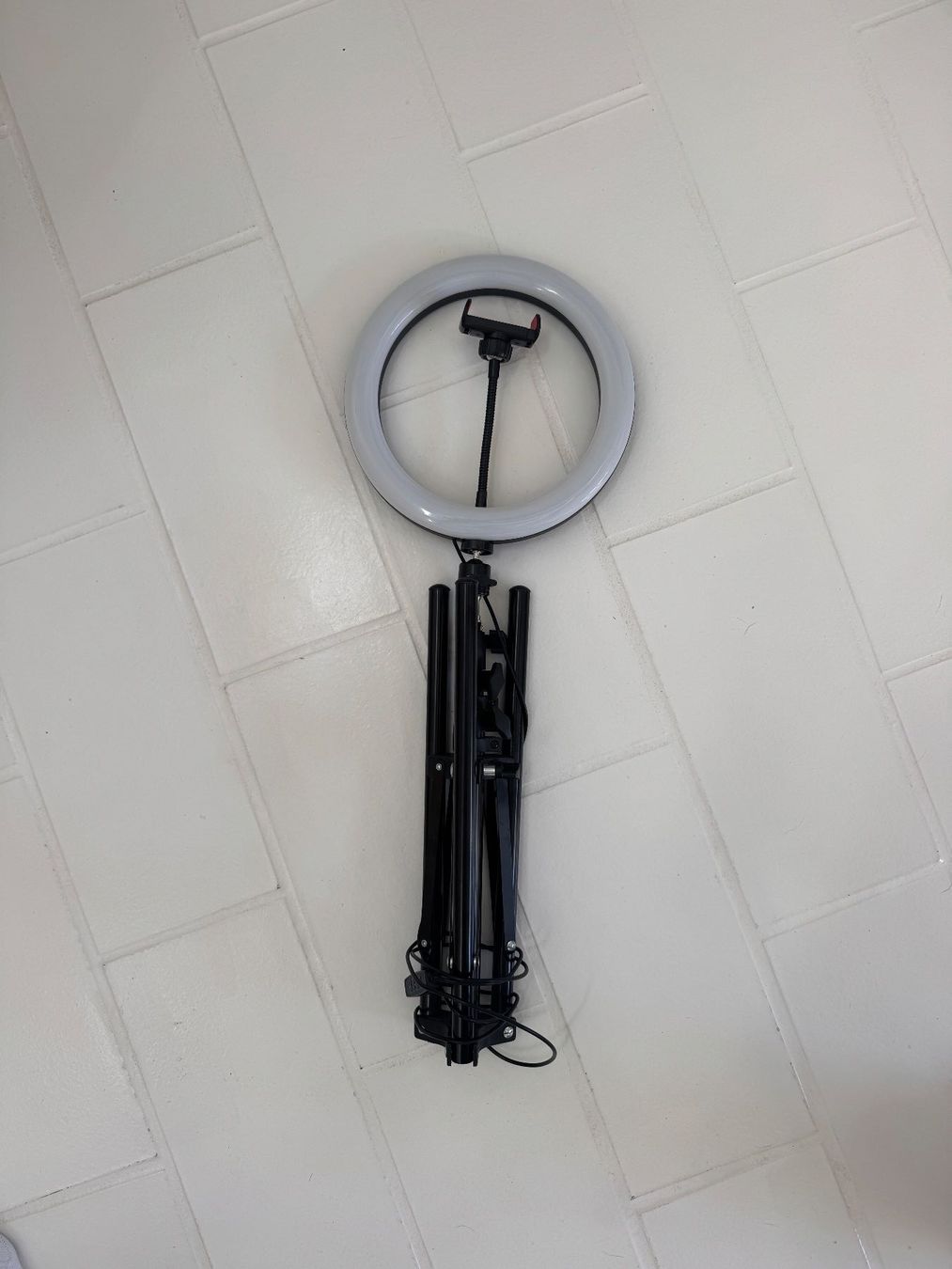 Lampes: Ring light | LED – Neuf (Voir description) à Luzern par Lou_yjb9 1