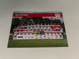 Mannschaftskarte VfB Stuttgart Saison 2013/14