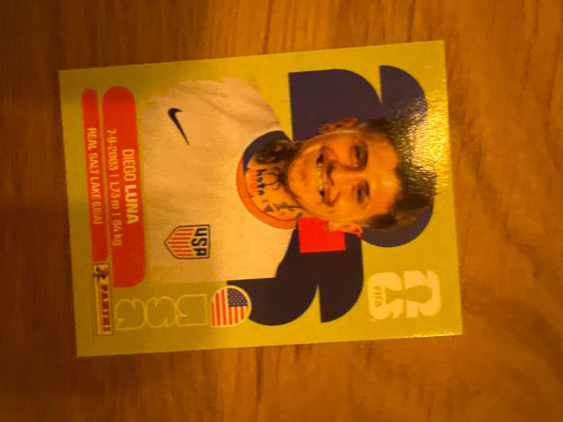 Panini Carte collezionabili: Panini – Usato da Langnau i. E. venduto da Acrjl
