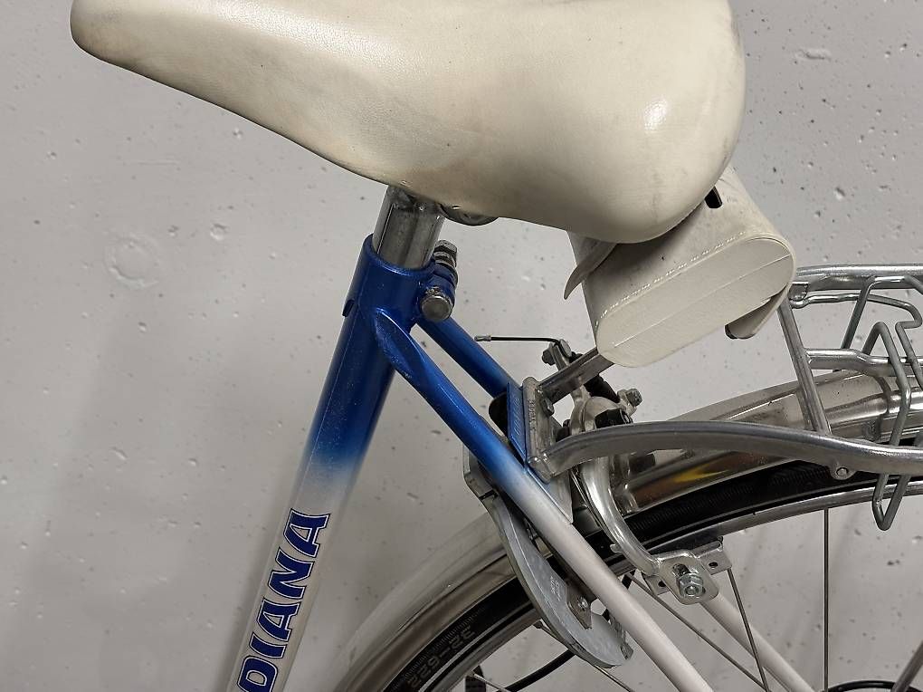 Biciclette: Damenvelo – Usato da Waltenschwil venduto da len_g85l 3