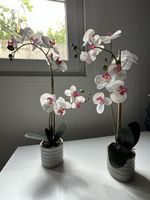 Zwei schöne künstliche Orchideen