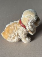 Steiff Golden Retriever Welpe mit Kragen guter Zustand