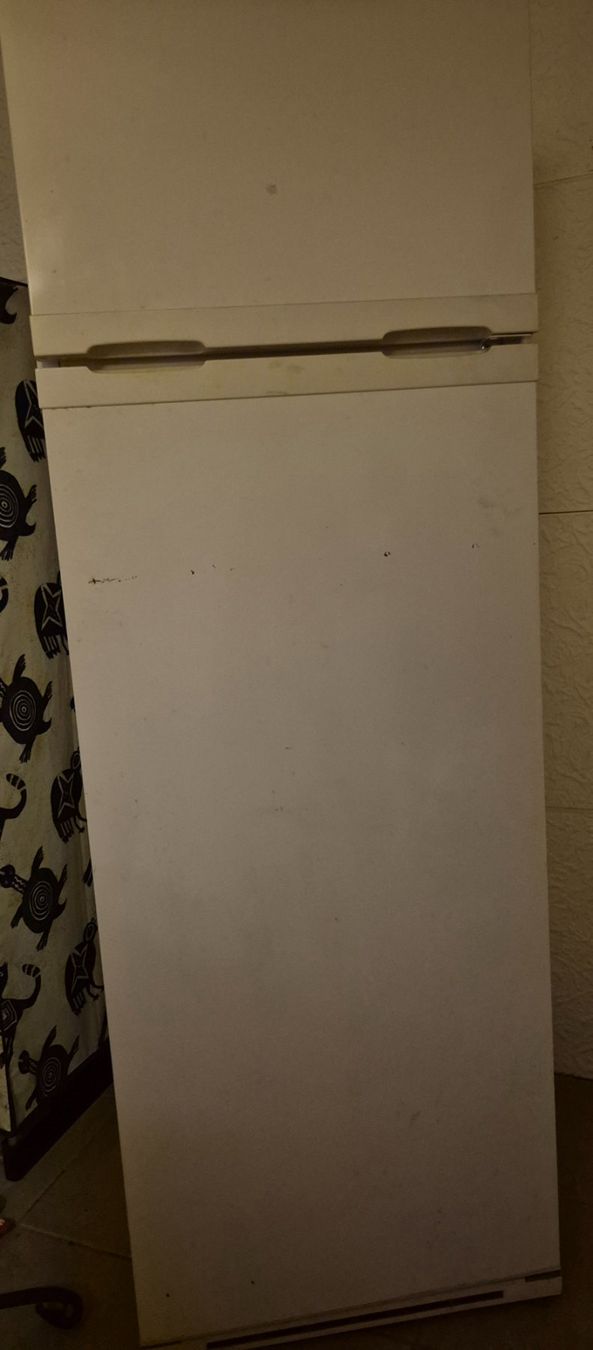 Kühlschrank: Frigo – Gebraucht aus Chavannes-de-Bogis von dwl_l9rv 1