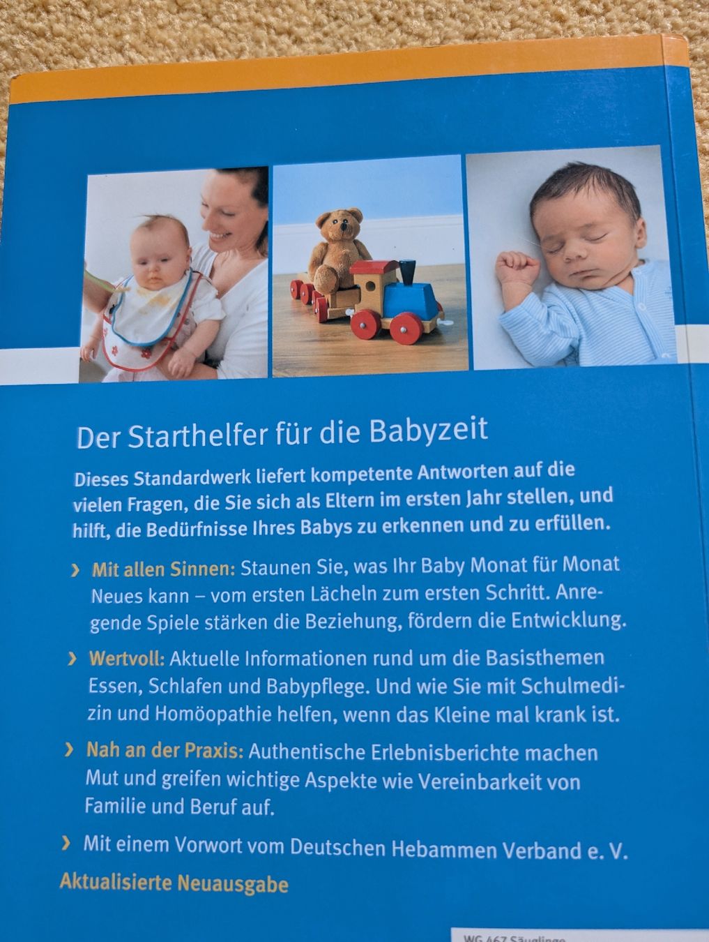 Libri: GU Ratgeber: Baby – Usato da Winterthur venduto da voan 3