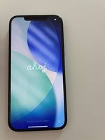 iPhone 12 Pro Max 256GB