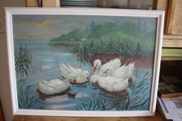 Enten im See