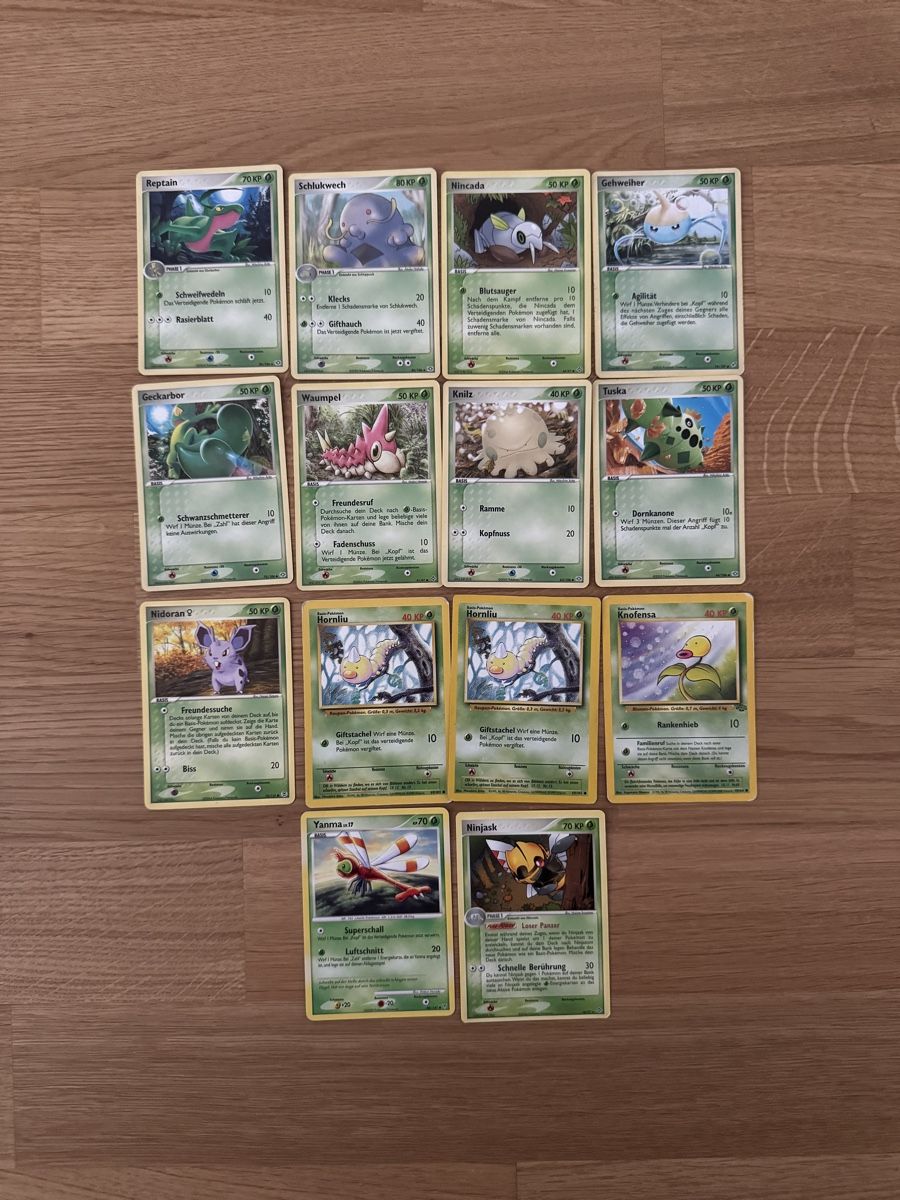 Pokémon Carte collezionabili: Pokémon Diverse Karten – Usato da Bern venduto da snikajot