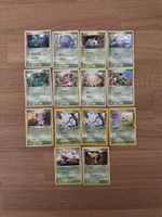 Pokémon Diverse Karten